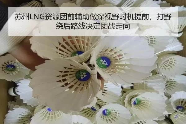 苏州LNG资源团前辅助做深视野时机提前，打野绕后路线决定团战走向